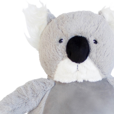 Koala Teddy Blank